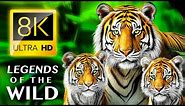 Legend Of The Wild 8K ULTRA HD / With Calming Music