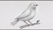 Simple Bird Drawing | Easy Pencil Sketch and Shading #drawing