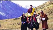 Royal High Land Festival || King Of Bhutan || Laya || Bhutanese Cultural Festival || Bhutan