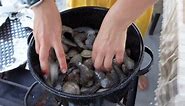 This New England Clam Bake is a... - Laura in the Kitchen
