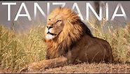 TANZANIA | Safari Wildlife 4K Lumix GH5