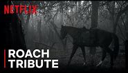 The Witcher: Roach Tribute