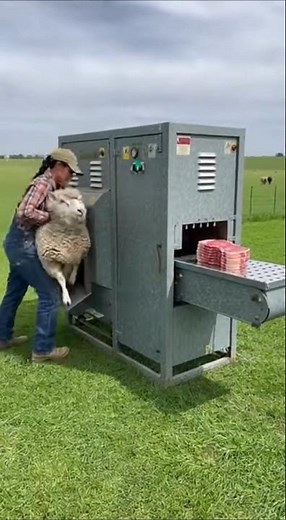 "Advanced Machine That Takes Sheep and Outputs Packaged Meat!"