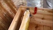 KINGLAKE Steel J Hook Bee Hive Tool Frame Lifter and Scraper,Beekeeping Equipment, 10-1/2-Inch