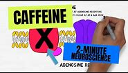 2-Minute Neuroscience: Caffeine