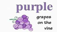 color P-U-R-P-L-E purple song - Kindergarten