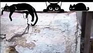 Cat Comedy Naptime: Hilarious Cats Dozing Off, Snoring Symphony! 😹" #short