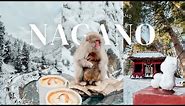 Nagano, Japan’s Hidden Gem | Visiting Snow Monkey Park ♨️ Togakushi Shrine & famous soba 🍜