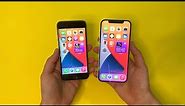 iPhone 6s vs iPhone 12 - Speed Test!