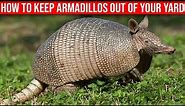 How To Keep Armadillos Out Of Your Yard - (Quick & Easy Ways)