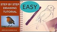 How to draw a Robin - Beginners step by step easy drawing tutorial