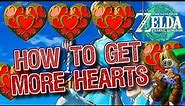 The Legend of Zelda Tears of the Kingdom How to Get More Hearts or Stamina