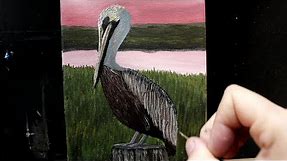 Marsh Pelican Painting Full Length Tutorial #art #painting #pelicans
