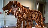 500 Years Later, da Vinci's Mechanical Lion Is Brought to Life