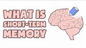 What is Short-Term Memory | Explained in 2 min