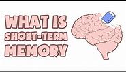 What is Short-Term Memory | Explained in 2 min