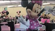 Minnie Mouse babyshower