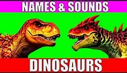 Dinosaurs Names and Sounds for Kids to Learn | Learn Dinosaur Names and Sounds for Children