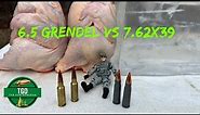 6.5 Grendel VS 7.62x39 Ballistic Chickens!! 123gr Hornady SST Bullets in Both
