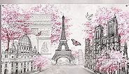 Paris Tapestry Backdrop Paris Wall Art Eiffel Tower Photo Banner Background European City Landscape Pink Wall Hanging Decor for Living Room Girl Bedroom Paris Themed Party Decoration, 72.8 x 43.3 Inch