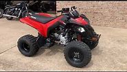 2022 CAN-AM DS 250 ATV - OVERVIEW - 610-965-9865