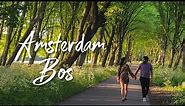 A Forest in the middle of Amsterdam City | Amsterdam Bos | Hidden Gems of Amsterdam | Hindi