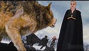 Vampires & Werewolves confronts the Volturi (Full Fight) | The Twilight Saga: Breaking Dawn - Part 2