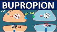 Bupropion - Mechanism, side effects, precautions and uses | Wellbutrin