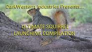 Ultimate Squirrel Launching Compilation