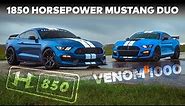 Sensational Shelby Mustangs by Hennessey // Supercharged H850 GT350R and Venom 1000 GT500