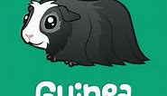 BEST GUINEA PIG BEDDING | 5 Different Types of Bedding for Guinea Pigs | #SHORTS