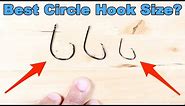 Circle Hooks: How To Choose The Right Size Hook For Live vs. Dead vs. Cut Bait