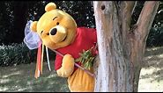 Winnie the Pooh Looks for Butterflies to Catch - Epcot New Distanced Disney Character Experience