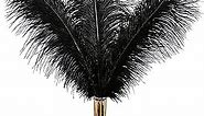 THARAHT Black Ostrich Feathers 12pcs Large Natural Bulk 16-18Inch 40cm-45cm for Wedding Party Centerpieces Halloween and Home Decoration Feathers
