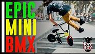 FatBoy Mini BMX at Venice Skatepark