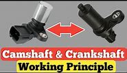 Camshaft vs Crankshaft position sensor & how they function