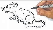 How to draw a Rat Step by Step | Drawings Tutorials