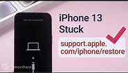 How to Fix support.apple.com/iphone/restore on iPhone 13/ 13 Pro