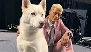Cody Rhodes' dog: Everything you need to know about Pharaoh - wrestling news