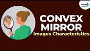 Convex Mirror - Image characteristics | Reflection and Refraction | Don't Memorise
