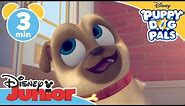 Puppy Dog Pals | Bob's Robot Dog - Magical Moment | Disney Junior UK