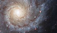 What Is a Spiral Galaxy?