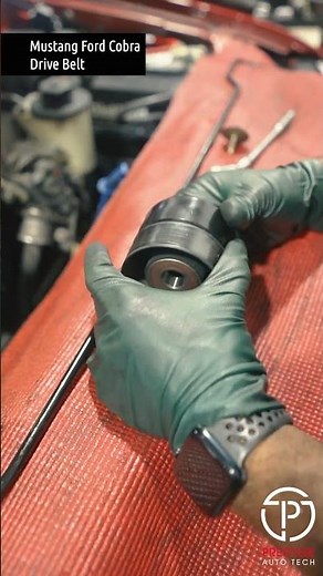 Mustang Ford Cobra Serpentine Belt Replacement