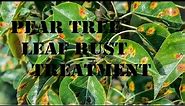 Pear tree leaf rust treatment