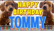 Happy Birthday Tommy! ( Funny Talking Dogs ) What Is Free On My Birthday