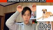 Learn Animals Signs in Japanese Sign Language (JSL)