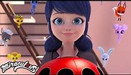 How Much Do You Know About The Miracle Box? | Miraculous Ladybug | Disney Channel UK