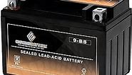 Chrome Battery YTX9-BS lead_acid_battery, AGM Battery