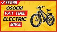 Osoeri Fat Tire Electric Bike Review