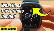 Apple Watch 7: What Is the Orange Dot at the Top of the Screen